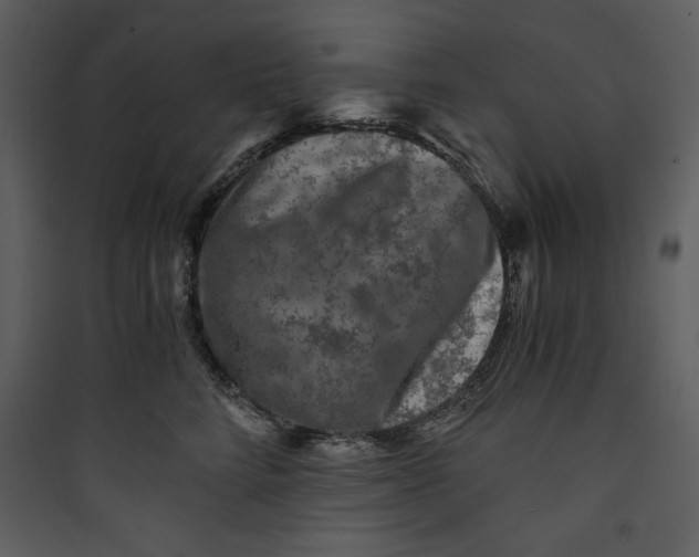 X0000089750712200707121341