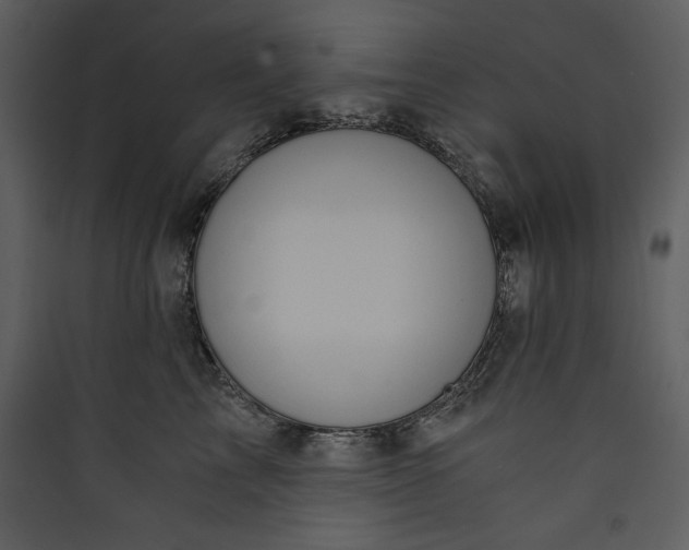 X0000089750713200707121341