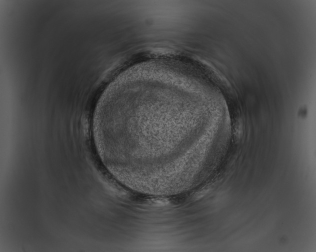 X0000089750715200707121341