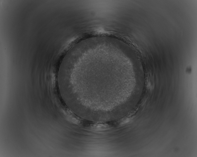 X0000089750716200707121341