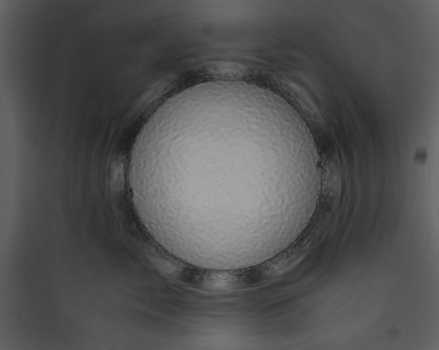 X0000089750717200707121341