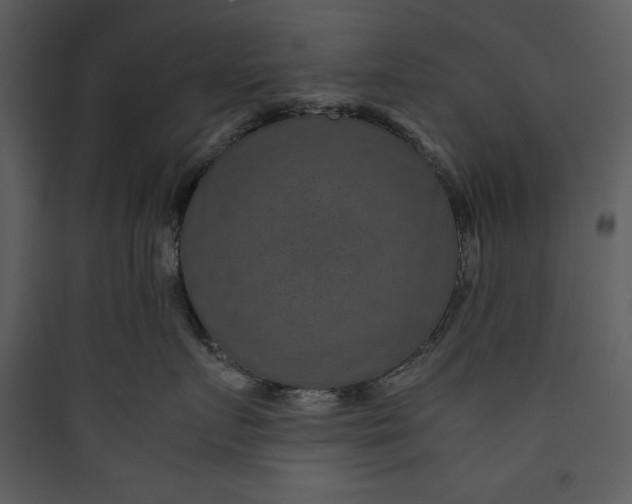 X0000089750719200707121341