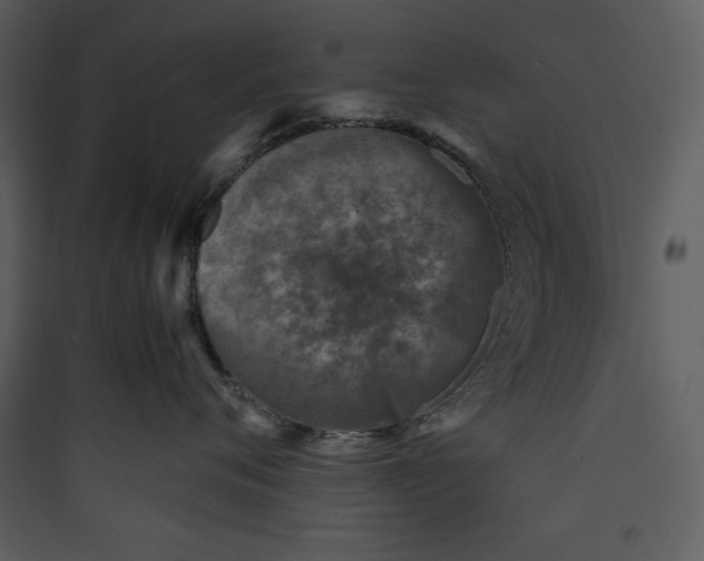 X0000089750720200707121341