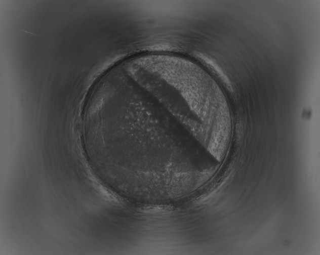 X0000089750721200707121340