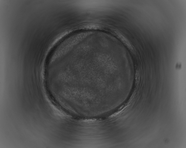 X0000089750722200707121340