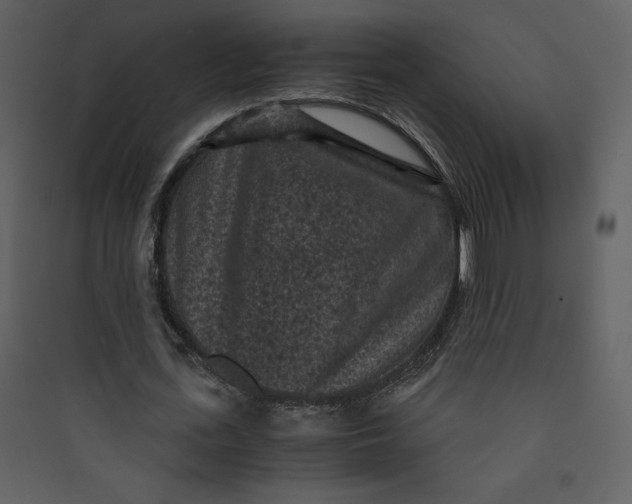 X0000089750723200707121341