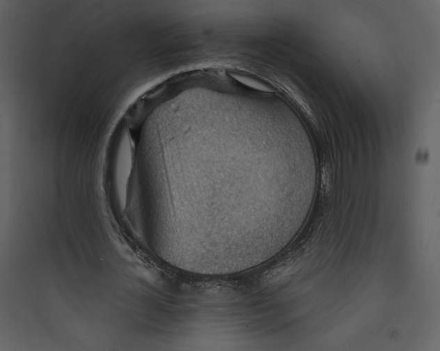 X0000089750724200707121341