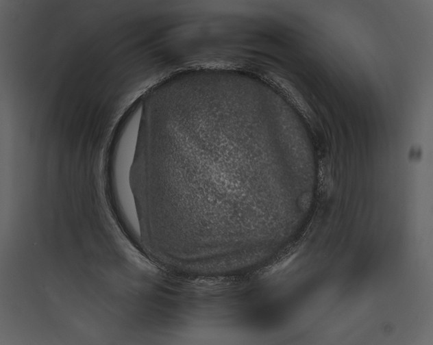 X0000089750725200707121341