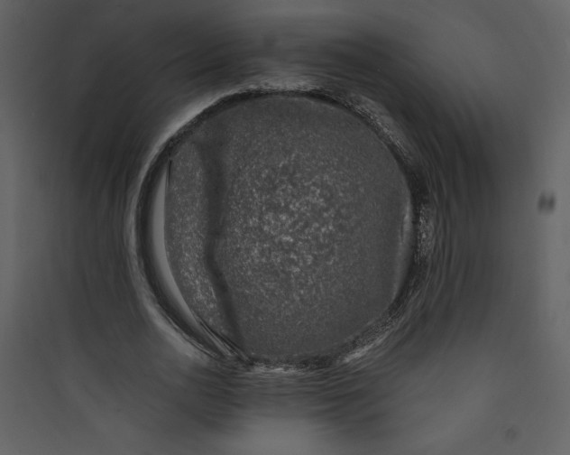 X0000089750726200707121341