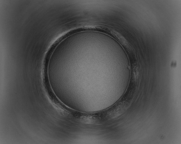 X0000089750728200707121341