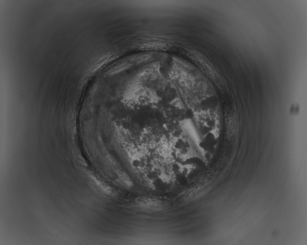 X0000089750729200707121341