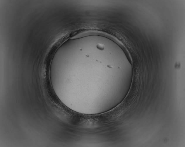 X0000089750731200707121341