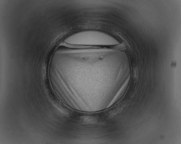 X0000089750733200707121341