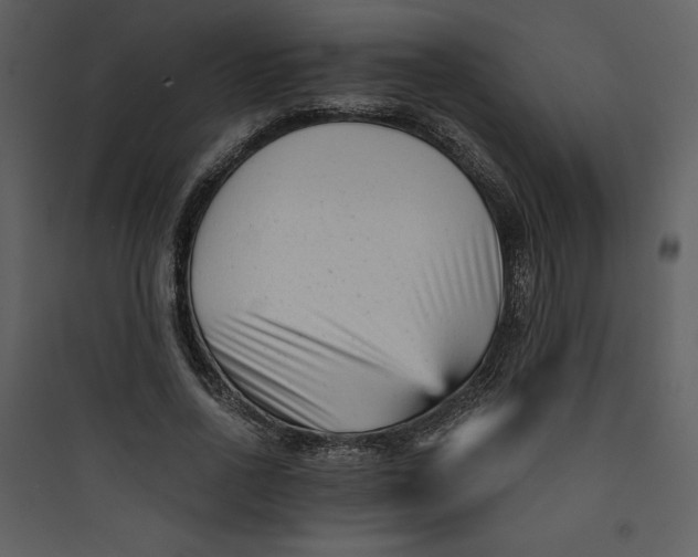 X0000089750734200707121341