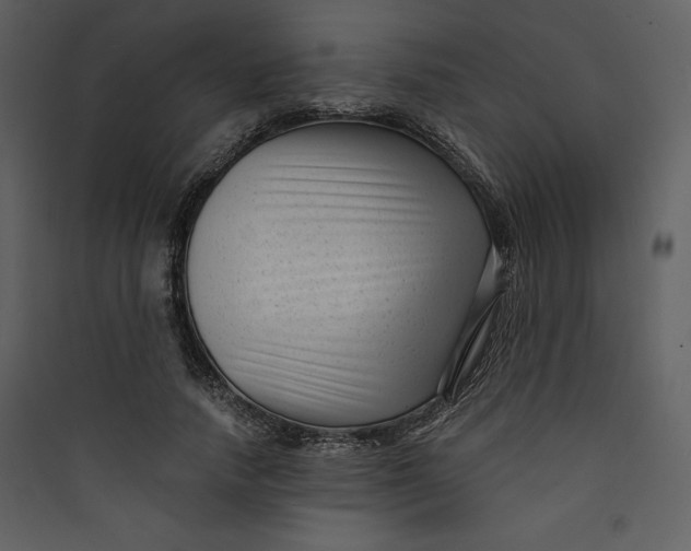 X0000089750738200707121341