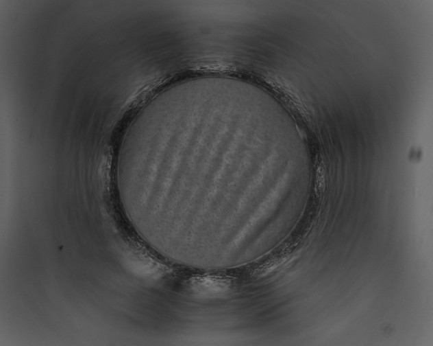 X0000089750739200707121341