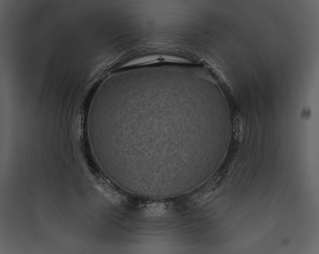 X0000089750740200707121341