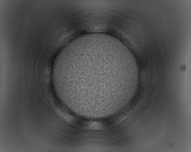 X0000089750741200707121341