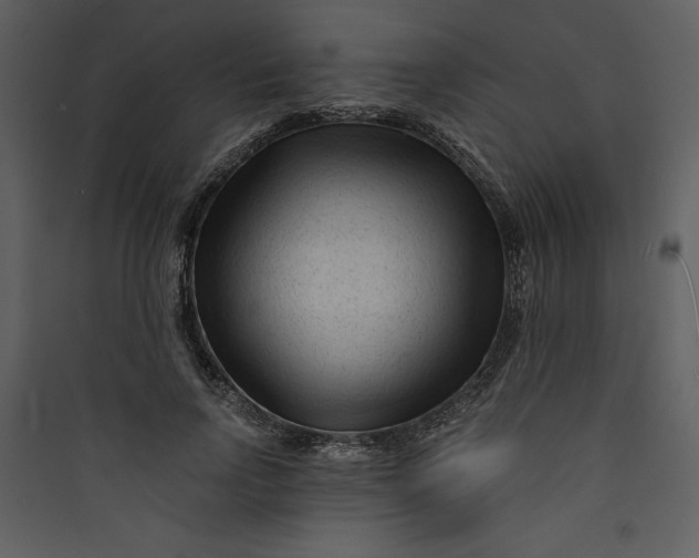 X0000089750742200707121341