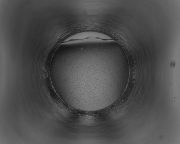 X0000089750743200707121341