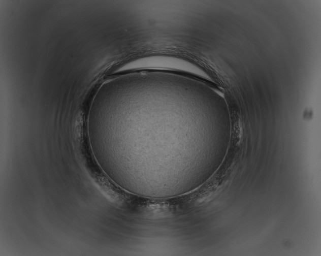 X0000089750744200707121341