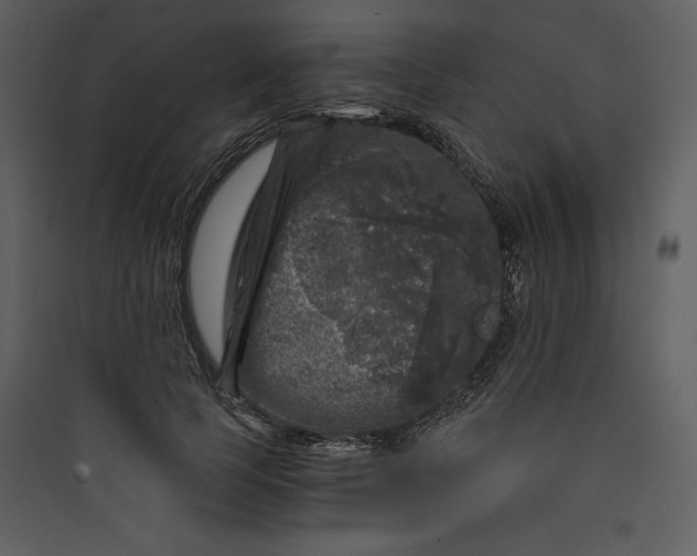 X0000089750745200707121341