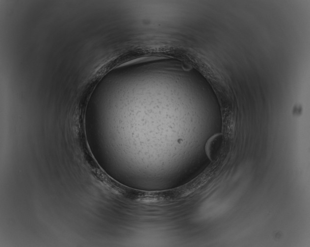 X0000089750746200707121341