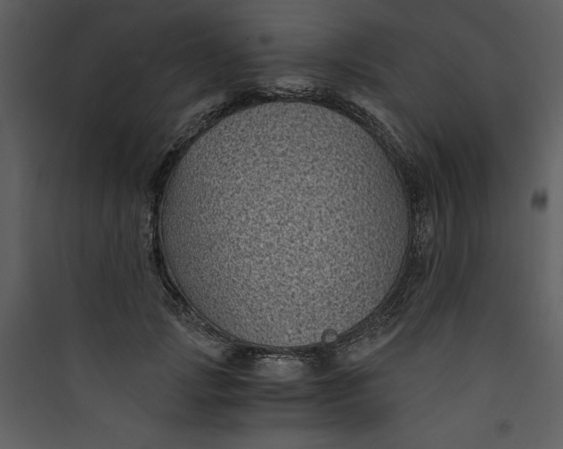 X0000089750749200707121341