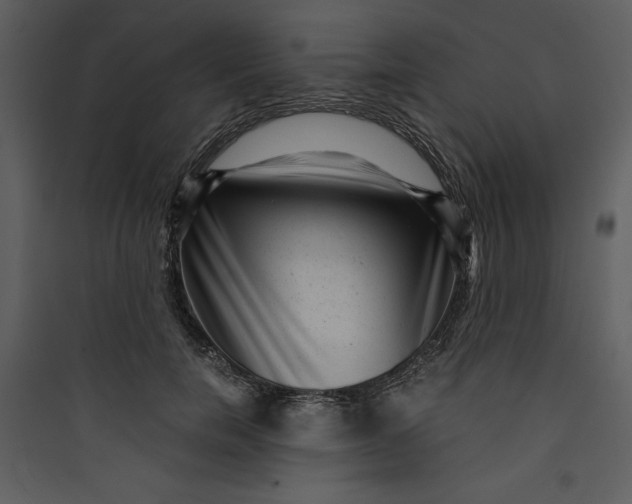 X0000089750750200707121341