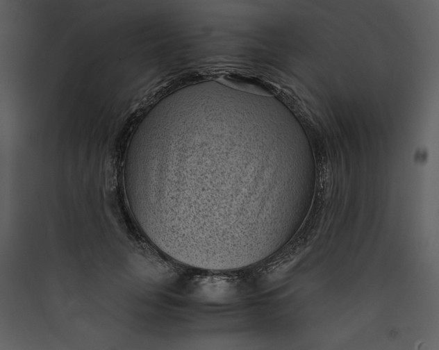 X0000089750751200707121341