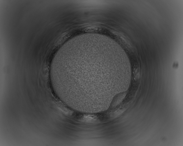 X0000089750753200707121341