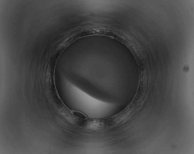 X0000089750754200707121341