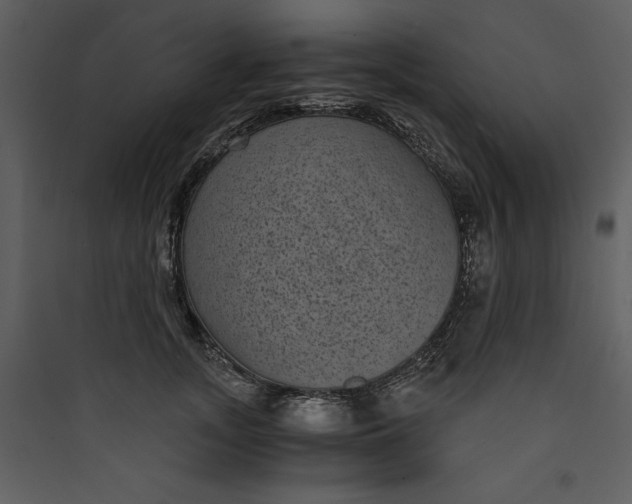 X0000089750755200707121341