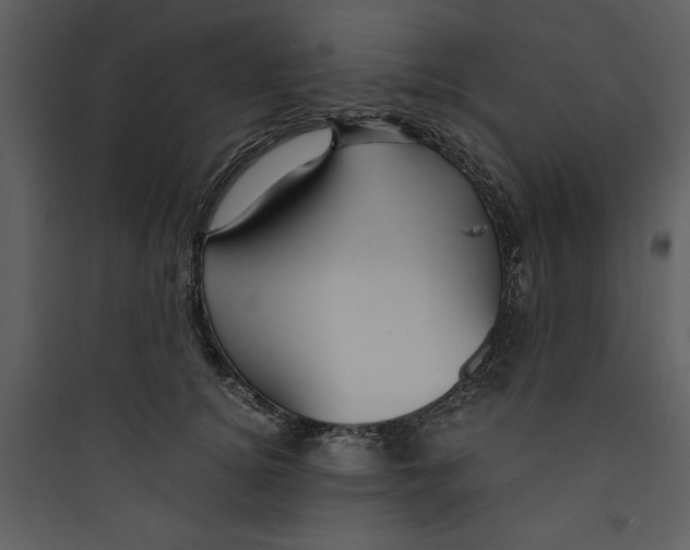 X0000089750756200707121341