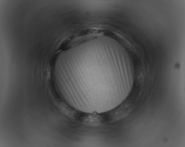 X0000089750758200707121341