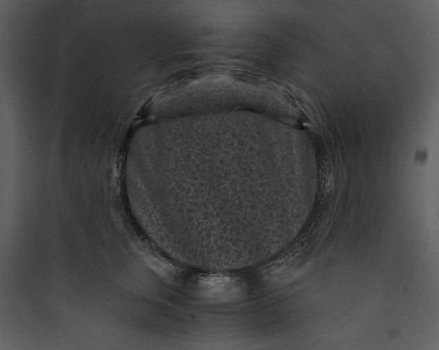 X0000089750759200707121341