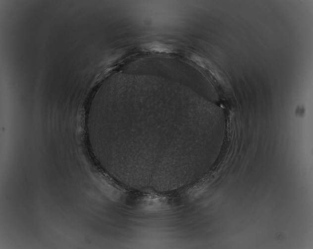 X0000089750760200707121341