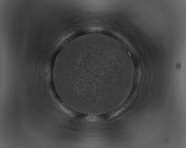 X0000089750762200707121341