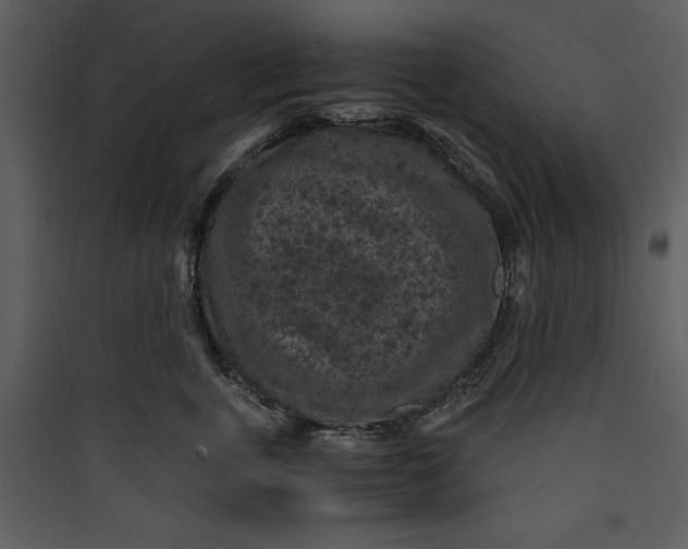 X0000089750763200707121341