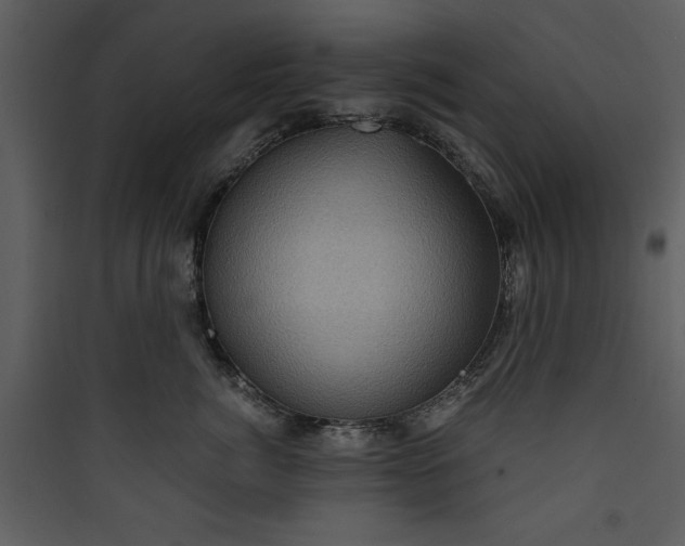 X0000089750764200707121341