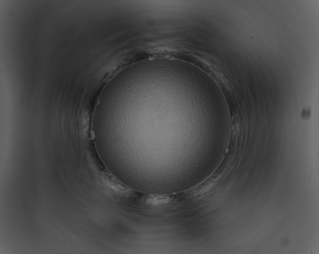 X0000089750767200707121341