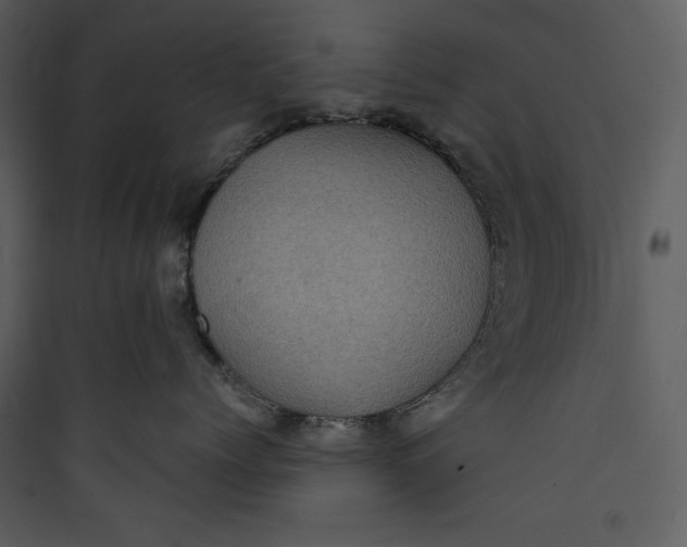 X0000089750768200707121341