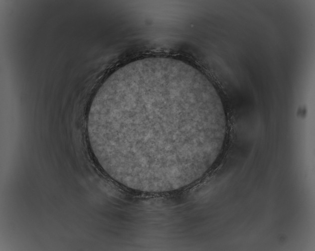 X0000089750769200707121340