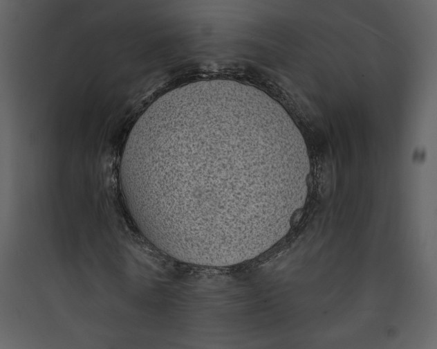 X0000089750770200707121340