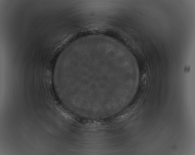 X0000089750772200707121340