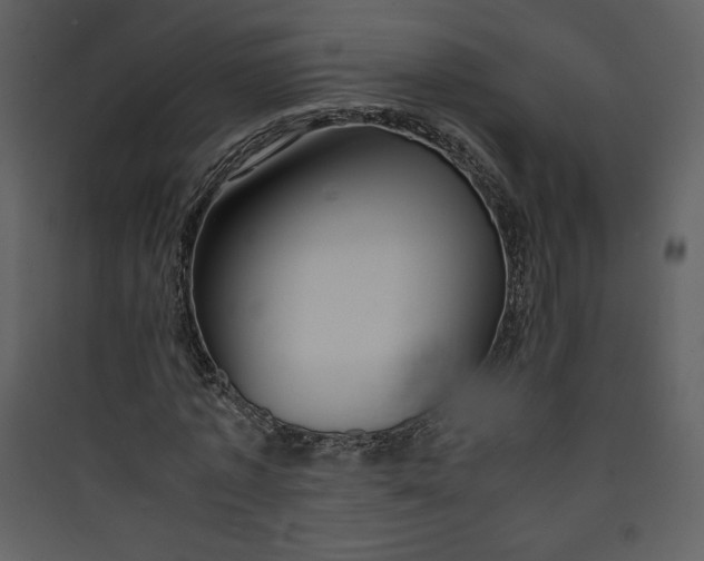 X0000089750773200707121340