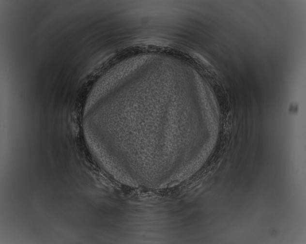 X0000089750774200707121340