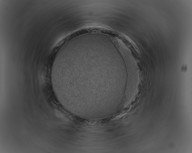 X0000089750775200707121340