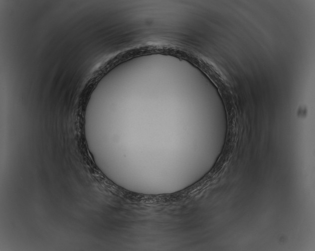 X0000089750776200707121340