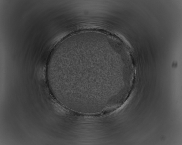 X0000089750777200707121340